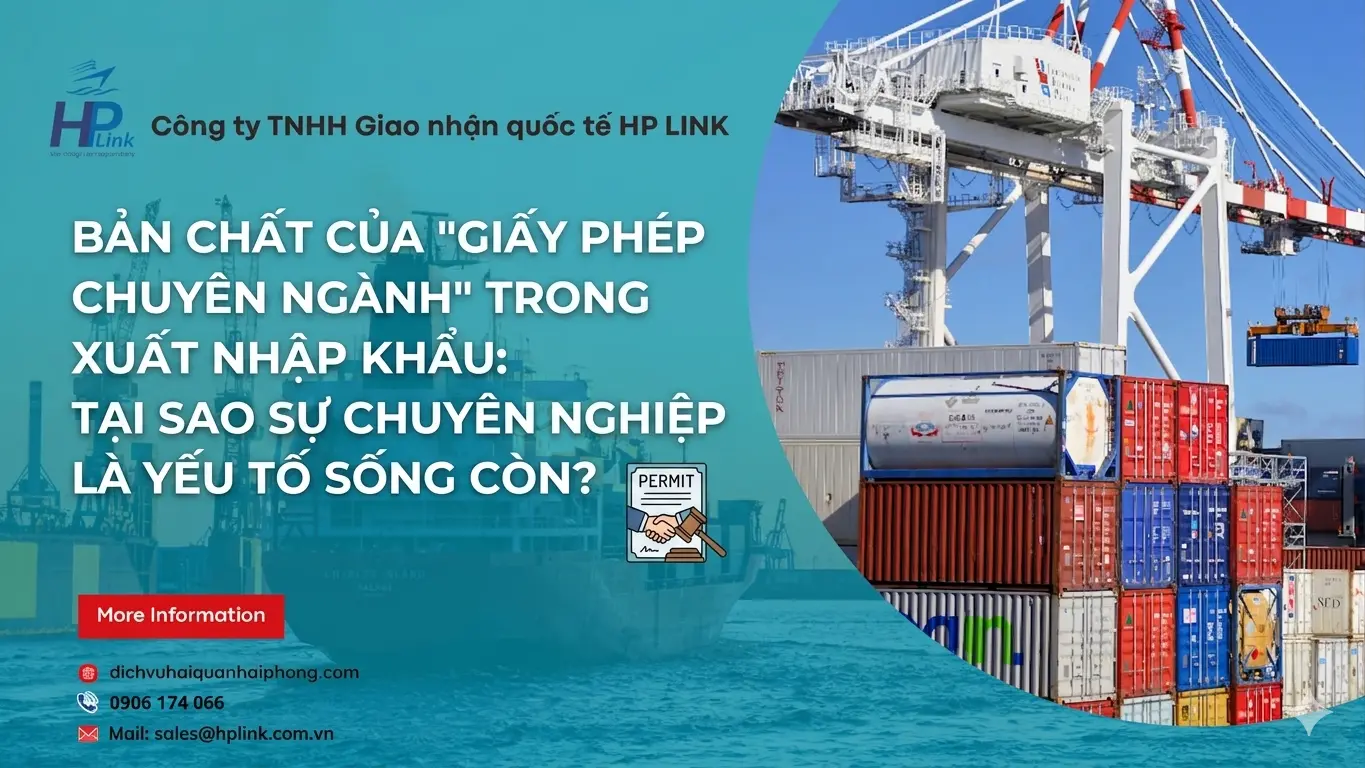 Bản Chất Của "Giấy Phép Chuyên Ngành" Trong Xuất Nhập Khẩu: Tại Sao Sự Chuyên Nghiệp Là Yếu Tố Sống Còn?