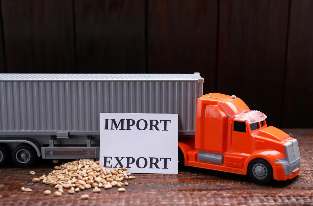 Dịch vụ xuất nhập khẩu