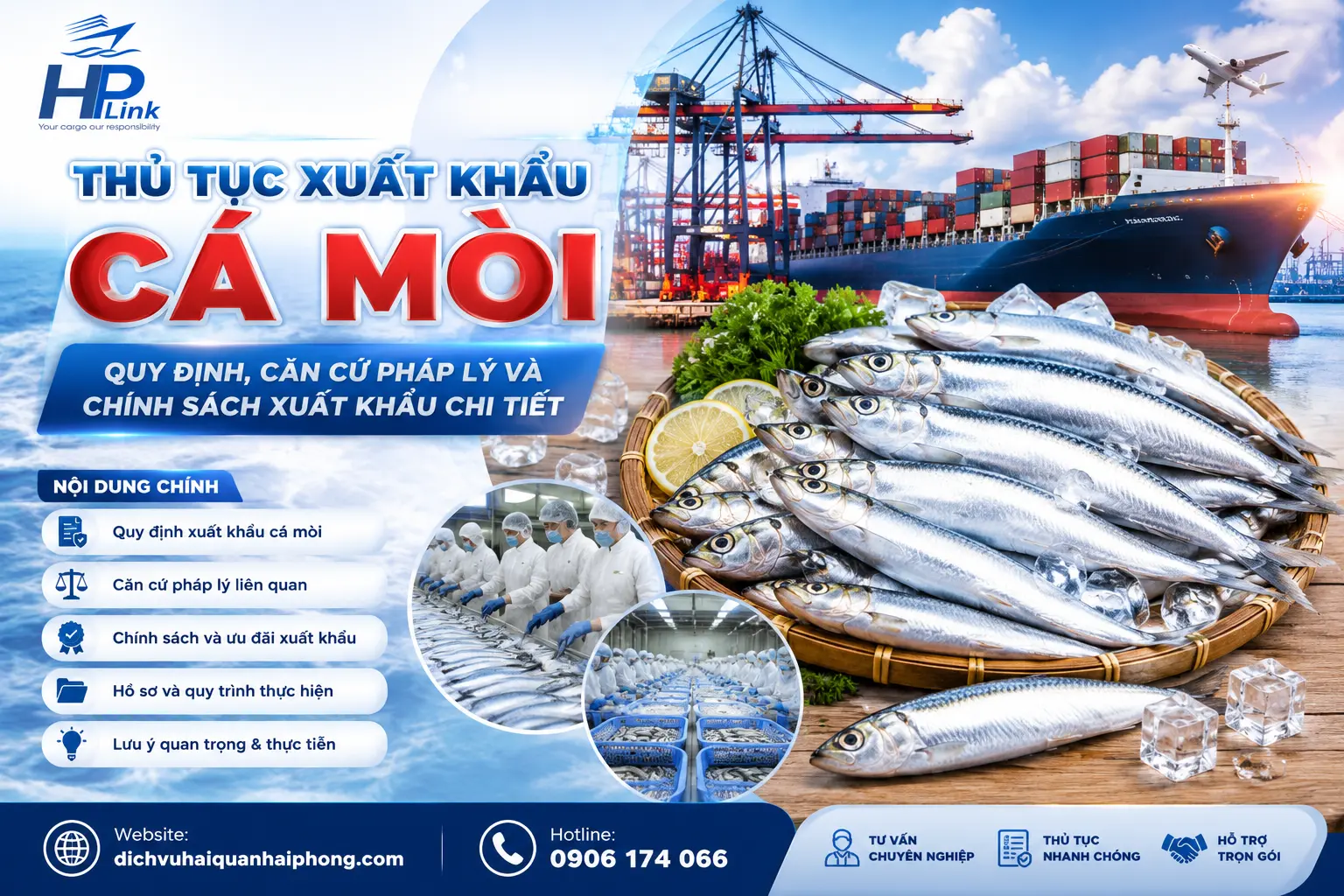 Thủ tục xuất khẩu cá mòi: Quy định, căn cứ pháp lý và chính sách xuất khẩu chi tiết