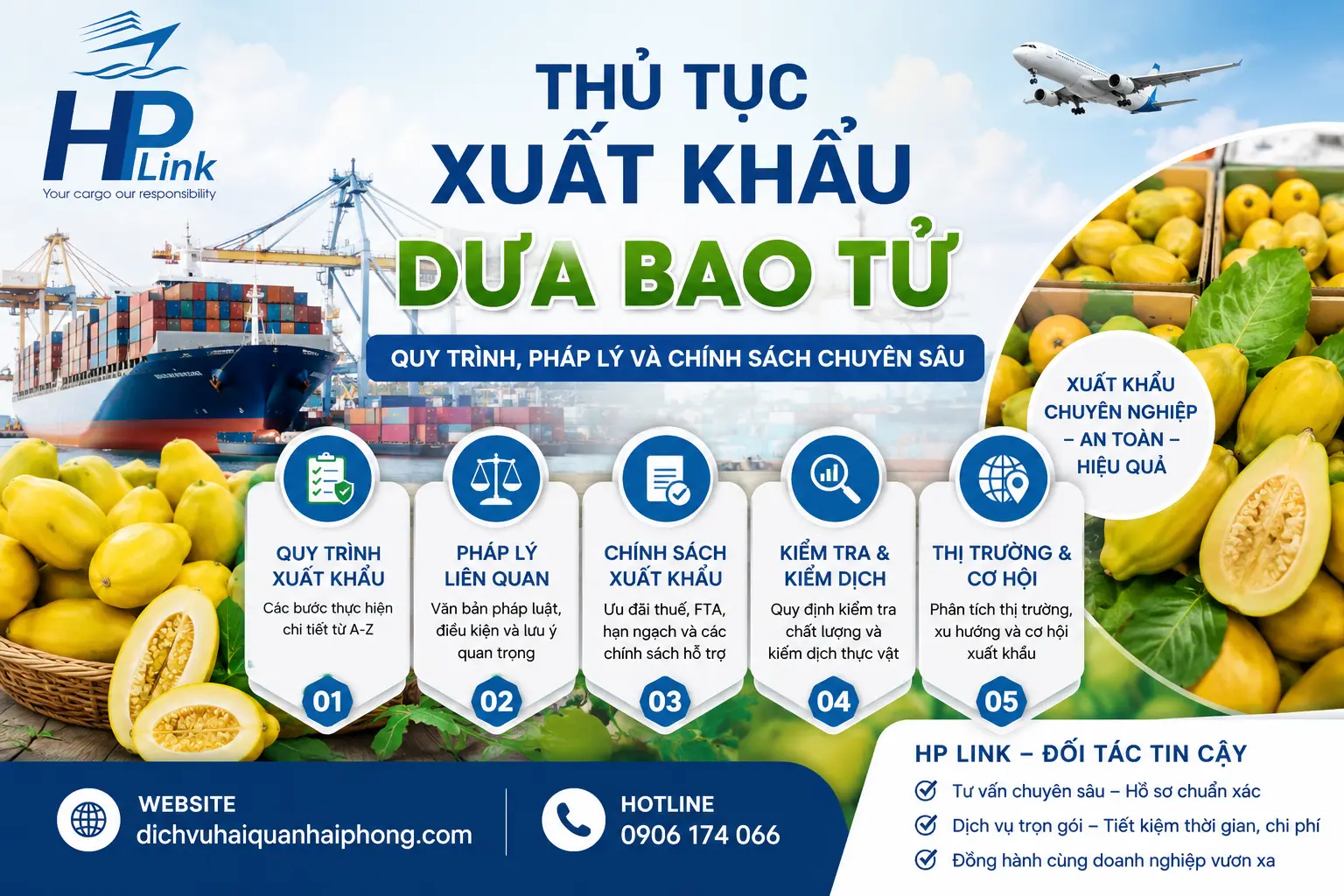 THỦ TỤC XUẤT KHẨU DƯA BAO TỬ – QUY TRÌNH, PHÁP LÝ VÀ CHÍNH SÁCH CHUYÊN SÂU