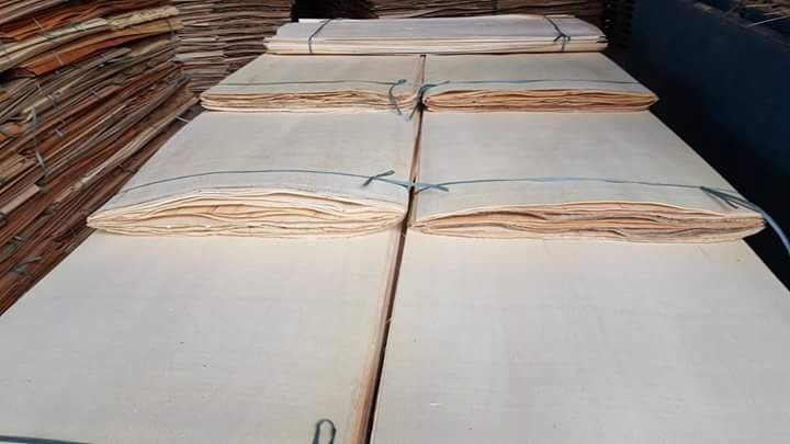 Thủ tục xuất khẩu gỗ ván lạng