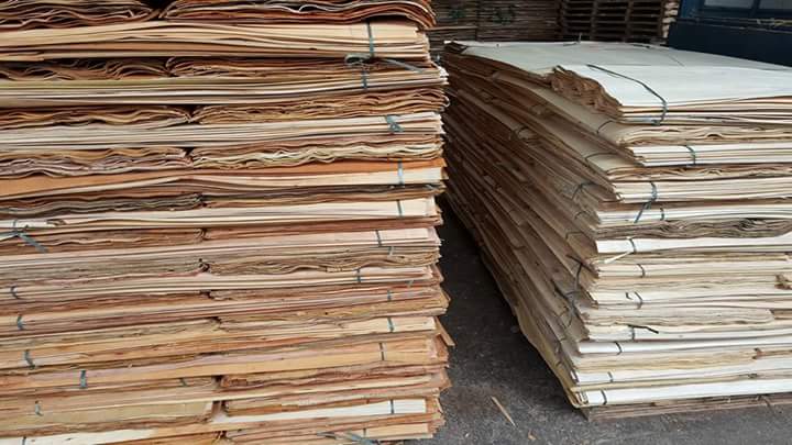 THỦ TỤC XUẤT KHẨU GỖ VÁN LẠNG VENEER