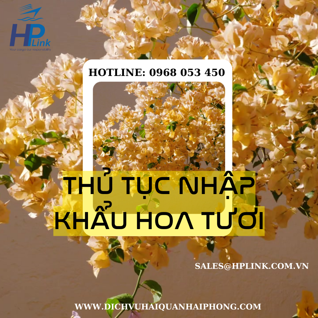 THỦ TỤC NHẬP KHẨU HOA TƯƠI