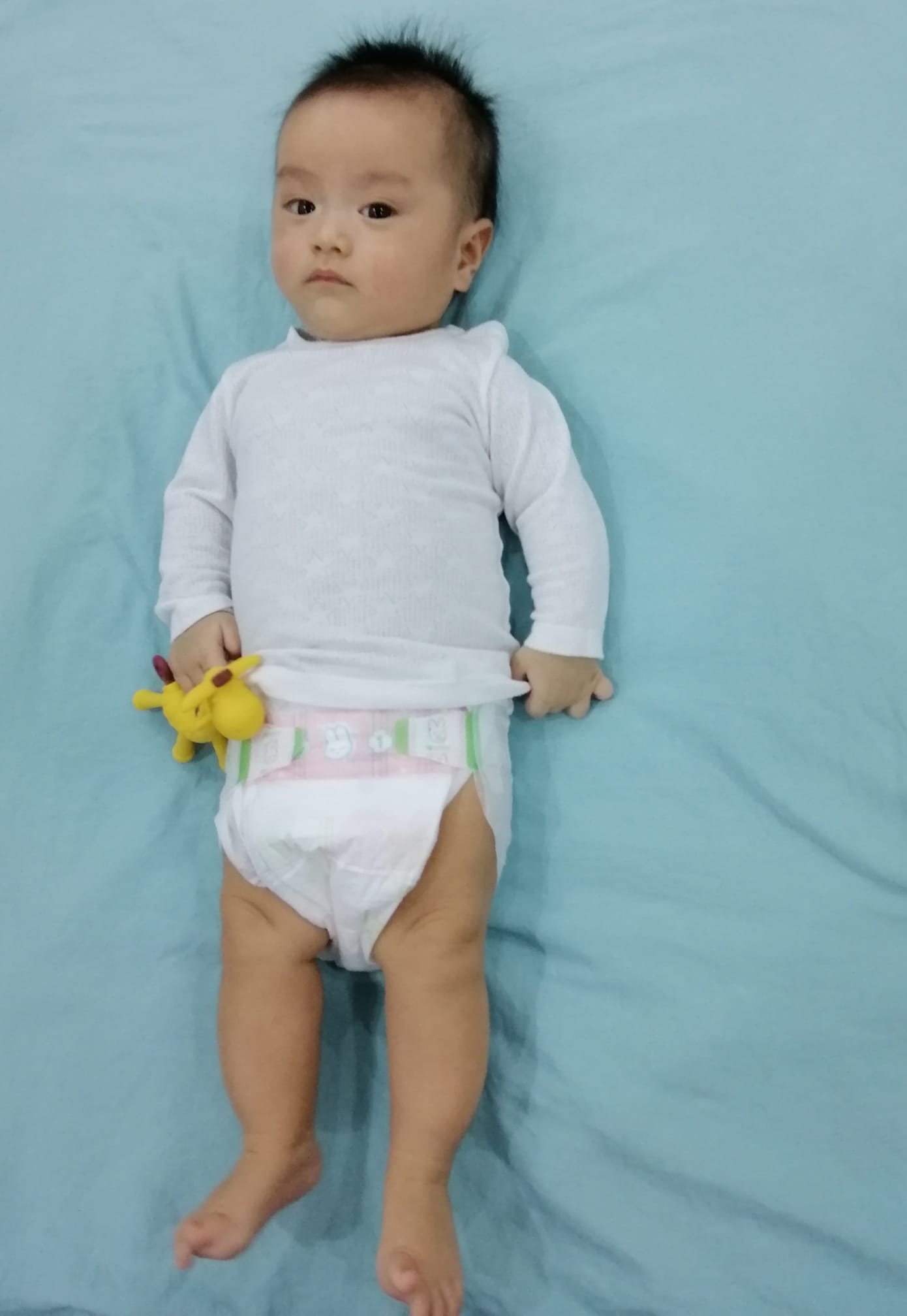 Thủ tục nhập khẩu BỈM QUẦN: Quy trình, Chính sách và Căn cứ pháp lý mới nhất